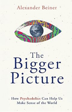 The Bigger Picture - How Psychedelics Can Help Us Make Sense of the World